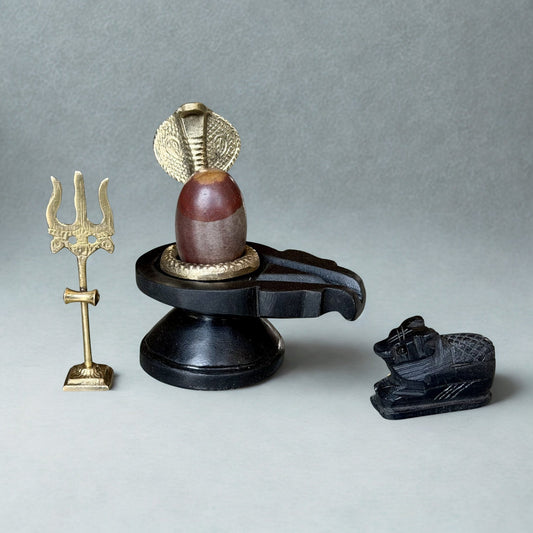 2 Inch Narmadeshwar Shivling with Jaladhari, Brass Naag, Trishul & Nandi variant_title for pooja mandir
