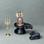 2 Inch Narmadeshwar Shivling with Jaladhari, Brass Naag, Trishul & Nandi variant_title for pooja mandir