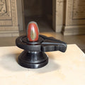 Authentic 2 Inch Narmadeshwar Shivling