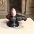 Authentic 2 Inch Narmadeshwar Shivling