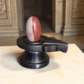 Authentic 2 Inch Narmadeshwar Shivling