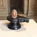 Authentic 2 Inch Narmadeshwar Shivling