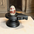 Authentic 2 Inch Narmadeshwar Shivling