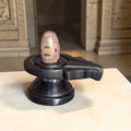 Authentic 2 Inch Narmadeshwar Shivling