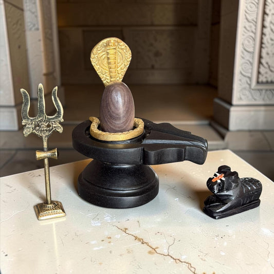 Authentic 2 Inch Narmadeshwar Shivling with Naag, Trishul & Nandi variant_title for pooja mandir