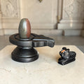 Authentic 2 Inch Narmadeshwar Shivling with Nandi
